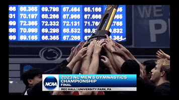 College Sports Sport GIF by Stanford Athletics