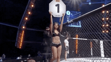 Number One Sport GIF by UFC