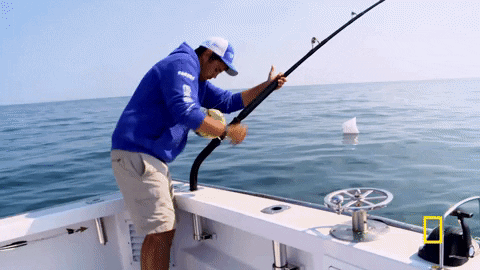 Wicked Tuna Fishing GIF by National Geographic Channel