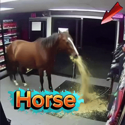 Power Horse GIF
