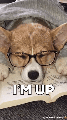 Tired Wake Up GIF