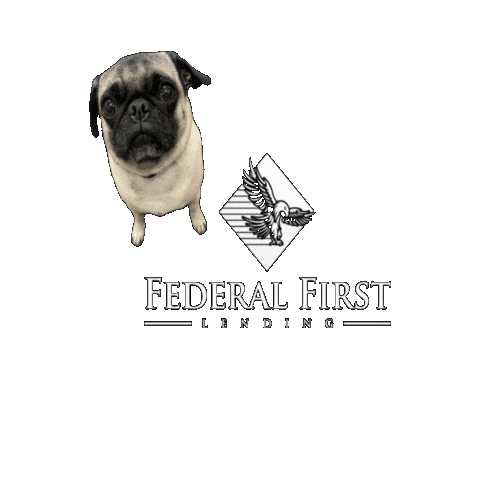 Chico Sticker by Federal First Lending