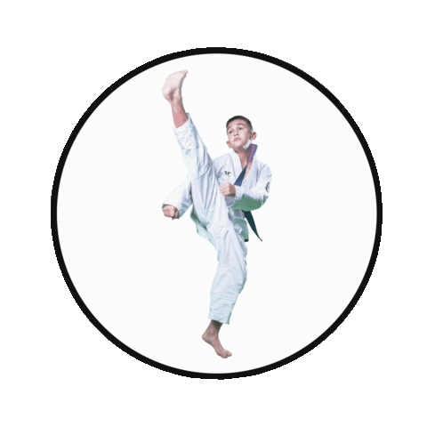 Tyler Caceres Sticker by Leveluptaekwondo