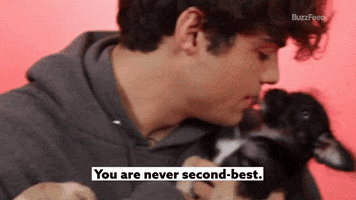 The Best GIF by BuzzFeed