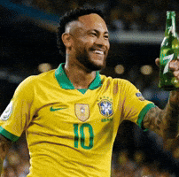 Fifa World Cup Football GIF