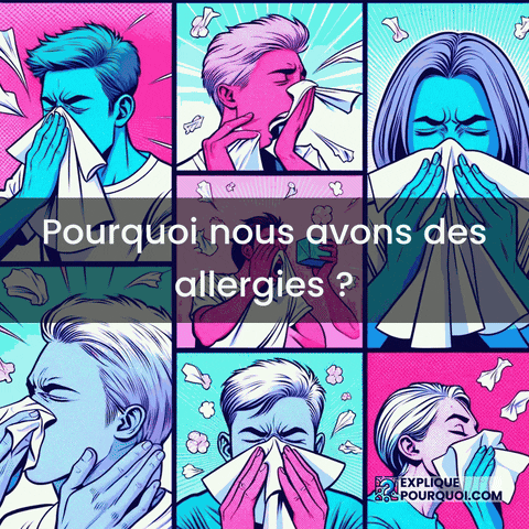 Allergie Sensibilisation GIF by ExpliquePourquoi.com