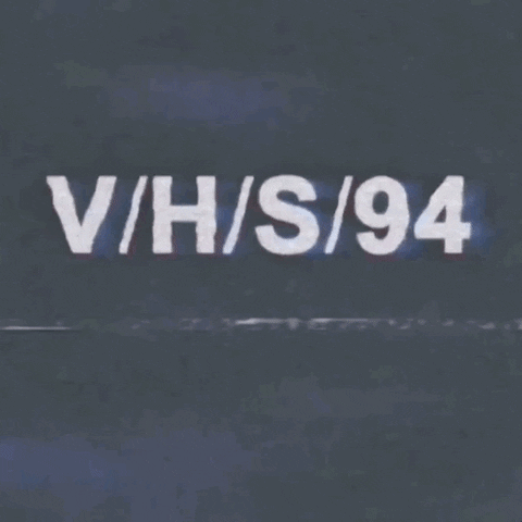 Vhs Effects GIF by Raven Banner Entertainment