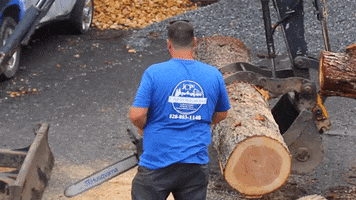 Chain Saw Logging GIF by JC Property Professionals
