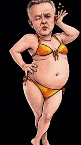 Albokini GIF
