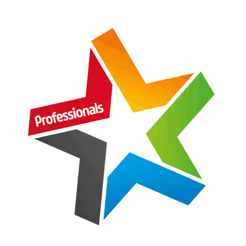 Professionals City to Surf Sticker