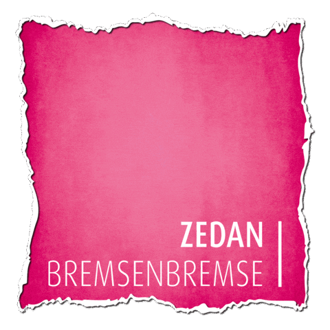 Reingeguckt Reingeschaut Sticker by ZEDAN