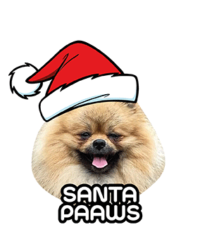 Sticker by PAAW House