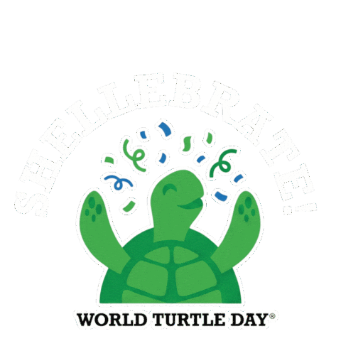 Tortoise Sticker by World Turtle Day