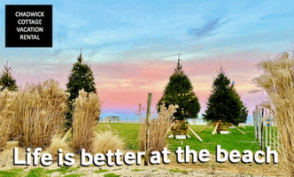 Jersey Shore Beach GIF by Chadwick Cottage Vacation Rental Home