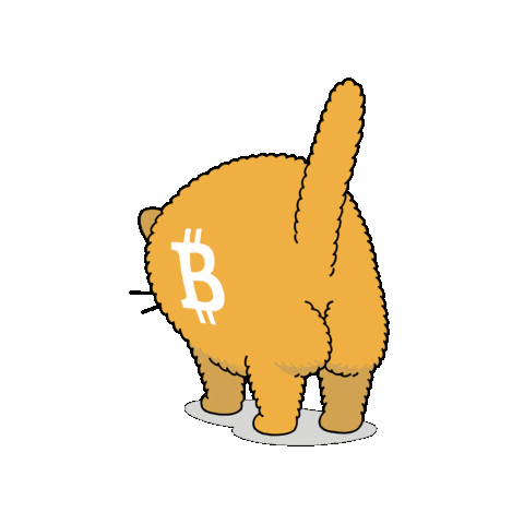 Bitcoin Meme Sticker by herecomesbitcoin