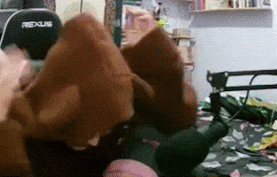 Shinme GIF