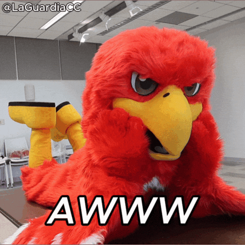 Lagcc Awww GIF by LaGuardia Community College
