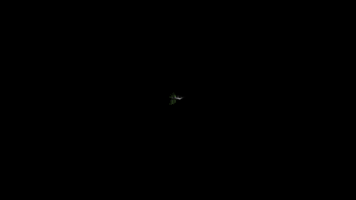 HP Contabilidade GIF