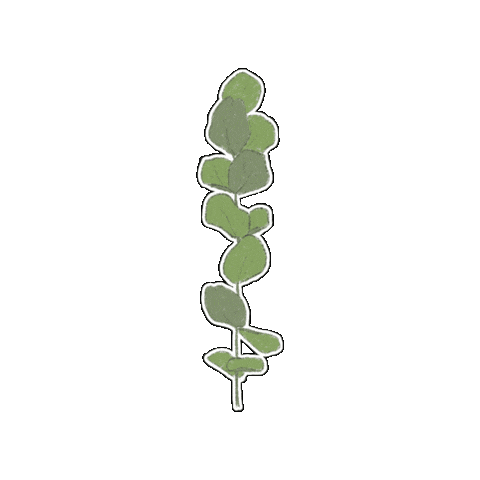 스티커 Sticker