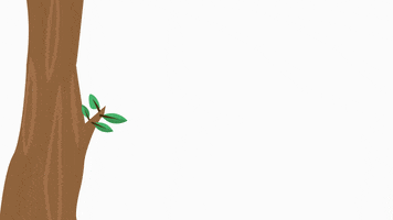 Mico GIF