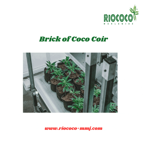 Brick Of Coco Coir GIF