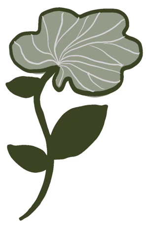 Flower Plants GIF by eloessi