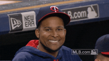 minnesota twins smile GIF by MLB