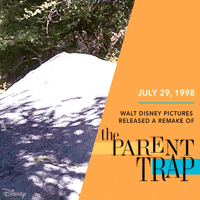 the parent trap sisters GIF by Disney