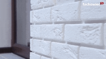 krystiangn  GIF