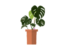 Plant Snorkel Sticker