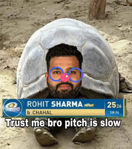 Virat Kohli GIF