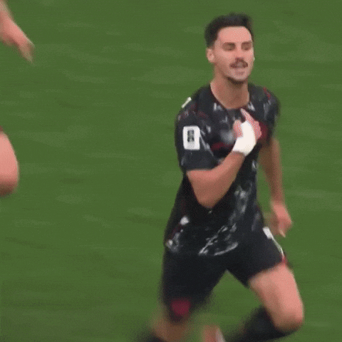 Fifa World Cup Football GIF