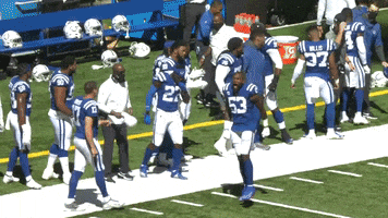Maniac Leonard GIF by Indianapolis Colts