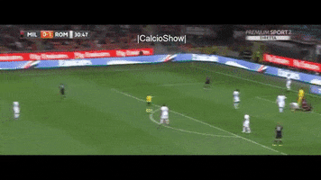 tancredinho  GIF