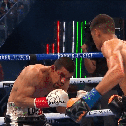 Knockout Punch GIF by Premier Boxing Champions