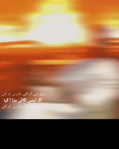 Saif Ali Khan GIF