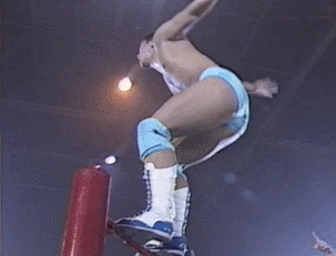 Wwe GIF