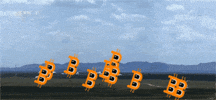 Cat GIF