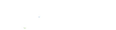 Radixdent Sticker