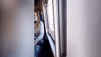 El Tribuno GIF