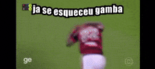 Ja Se Esqueceu Gamba GIF