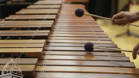 playing department of music GIF by SEMissouriState