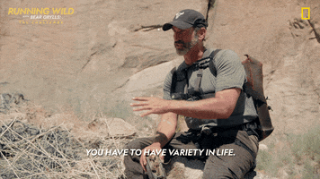 Embrace It Nat Geo GIF by National Geographic Channel
