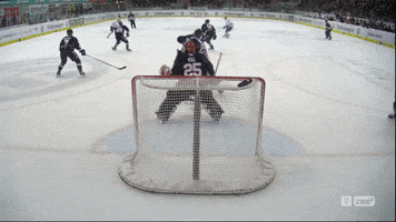 DEL-Redaktion  GIF