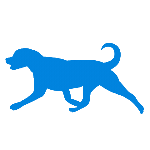 Animal Care Running Sticker by bluepearl pet hospital