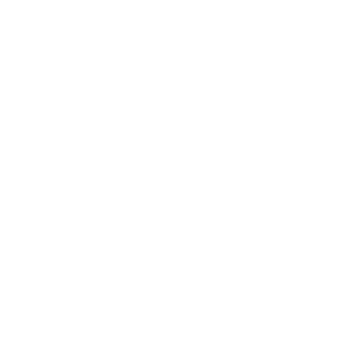 Bristol Bay Sockeye Salmon Sticker