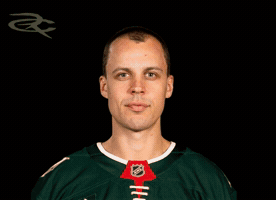 Minnesota Wild GIF by Respective