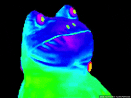 Get Out Frog GIF