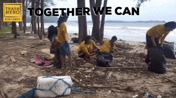 Work Together Clean Up GIF by Trash Hero World