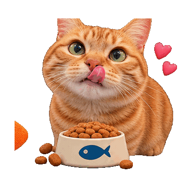 Cat Food Snack Time Sticker